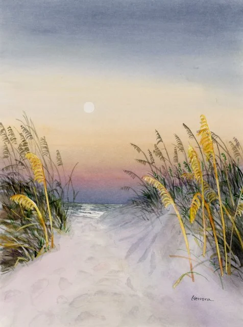 Peach Rose 3 — Hailey E. Herrera